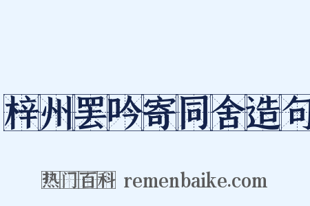 梓州罢吟寄同舍造句是什么意思的图片